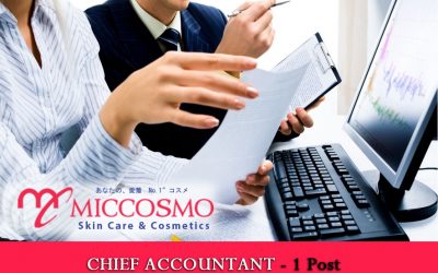 Chief Accountant – 1 Post